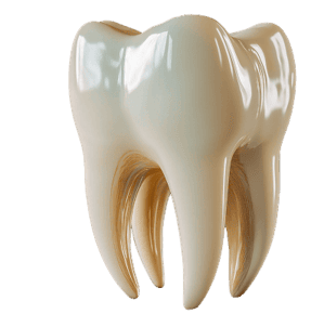 Зубы и десны